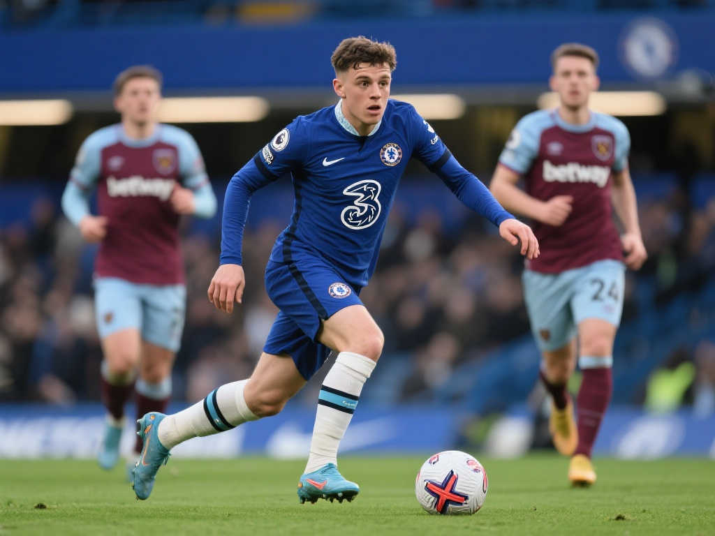 奇之路的见 奇之路的见