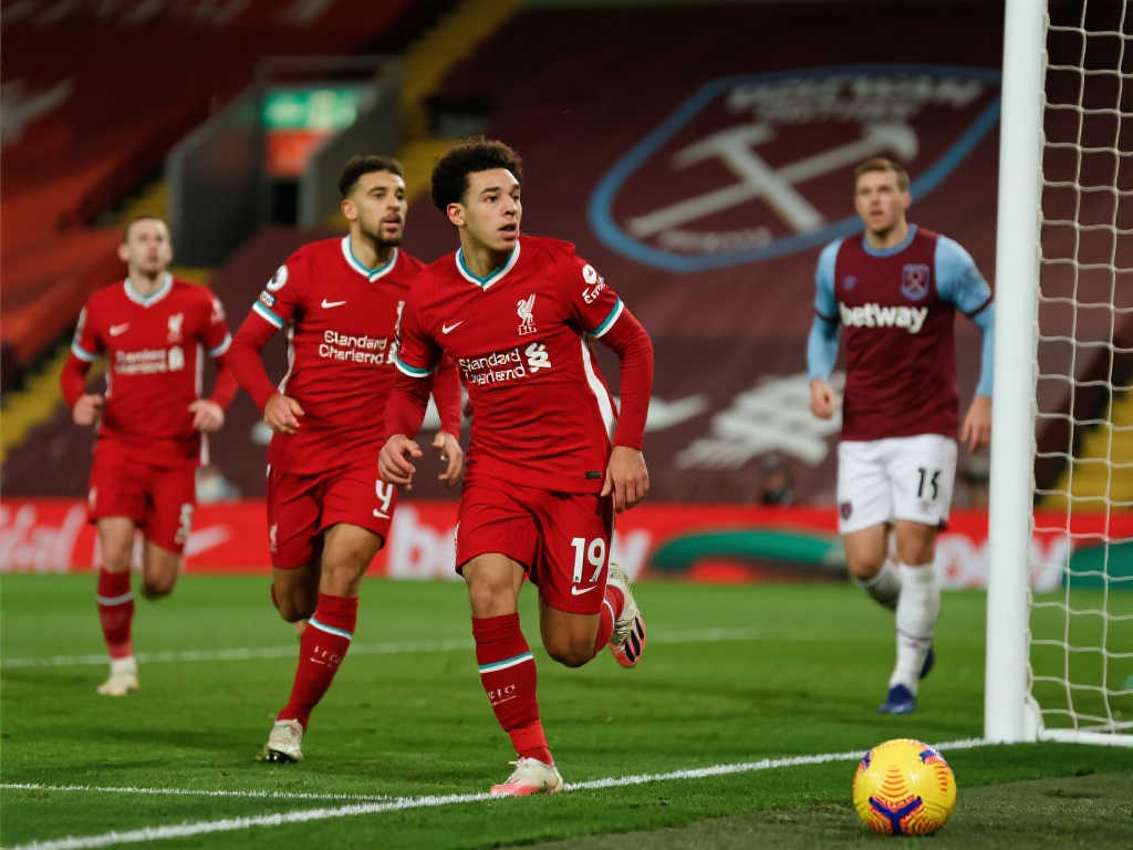 的临门一脚 的临门一脚